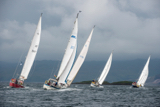 steel pulse gbr9547t cantatta ii 203 whyw17 tues gjmc 7098